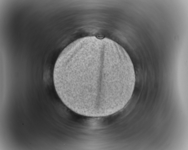 X0000089750136200707201930