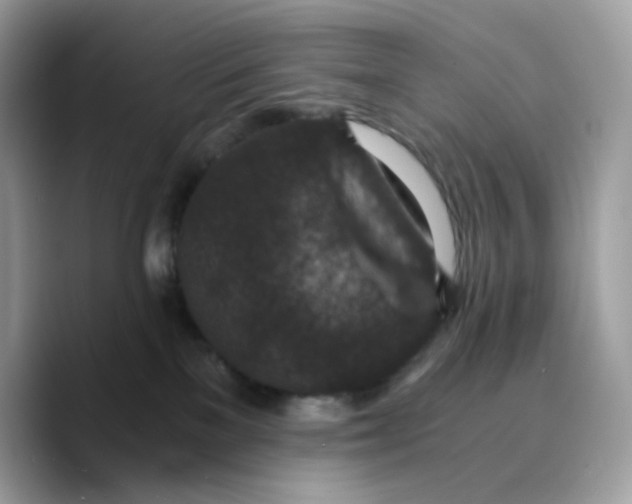 X0000089750137200707201930