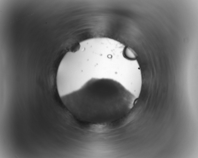 X0000089750139200707201930