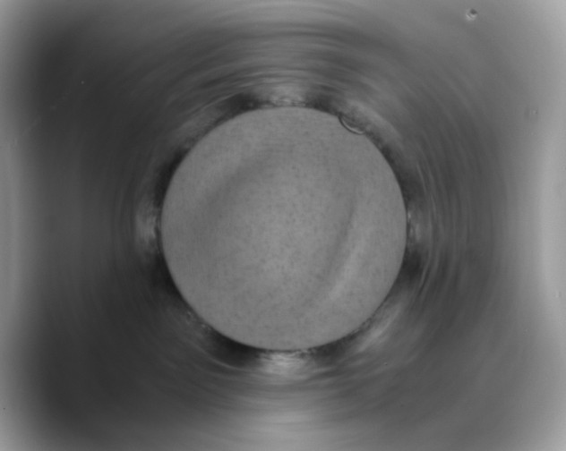 X0000089750141200707201930