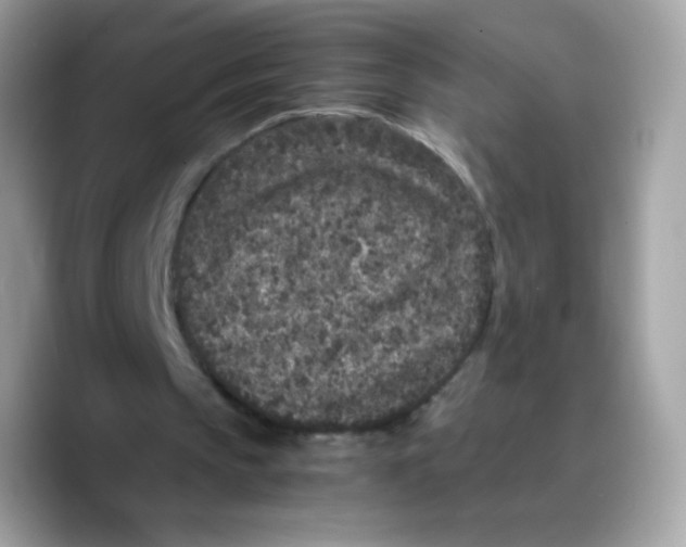 X0000089750145200707201929