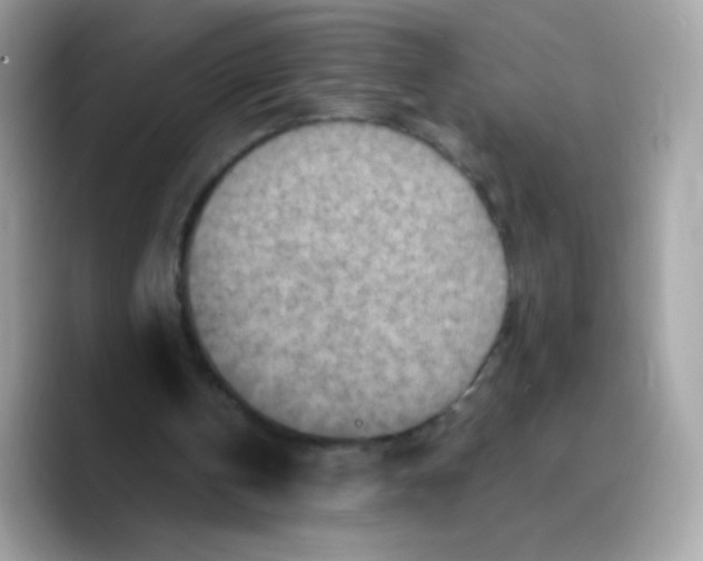 X0000089750146200707201929