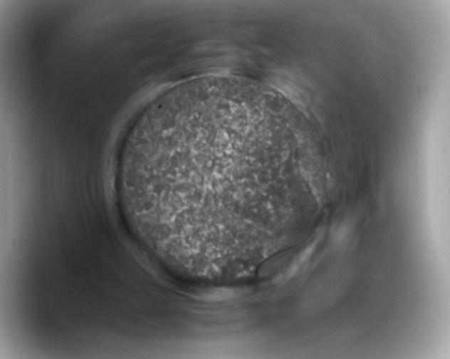 X0000089750149200707201929