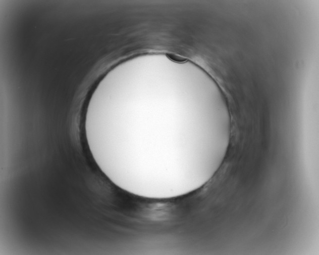 X0000089750151200707201929