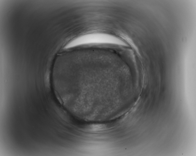 X0000089750154200707201929