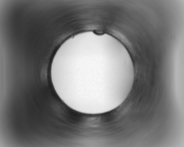 X0000089750155200707201929