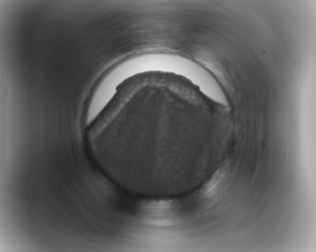 X0000089750156200707201929