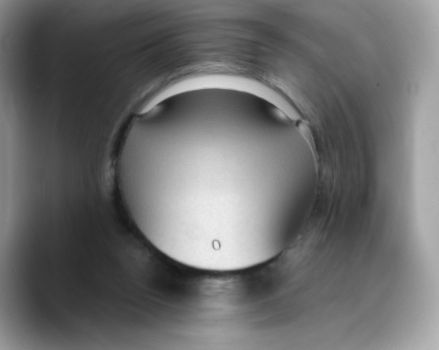 X0000089750160200707201929