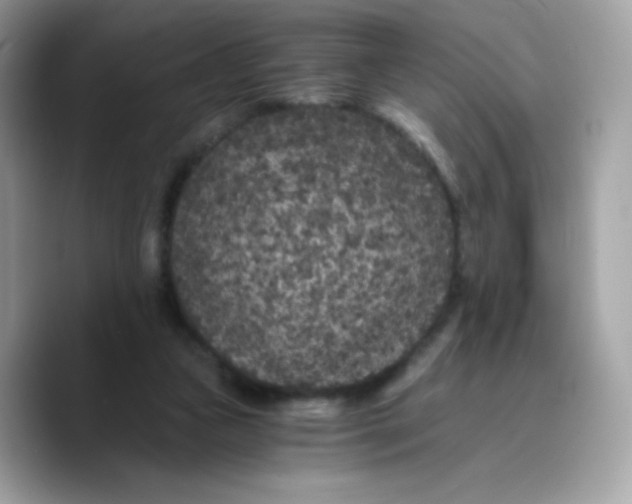 X0000089750161200707201929