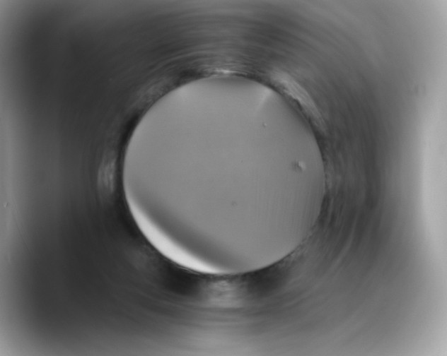 X0000089750163200707201929