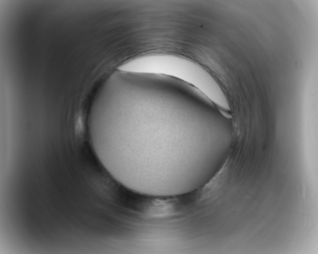 X0000089750166200707201929