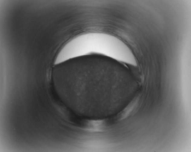 X0000089750168200707201929