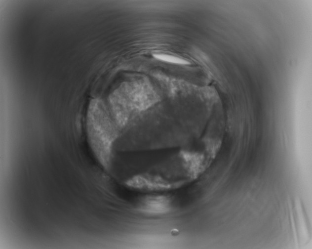 X0000089750169200707201929