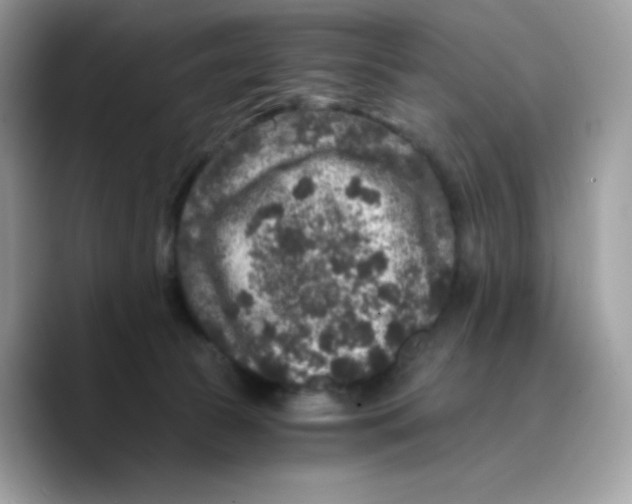 X0000089750177200707201929