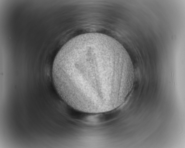 X0000089750178200707201929