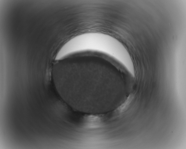 X0000089750180200707201929