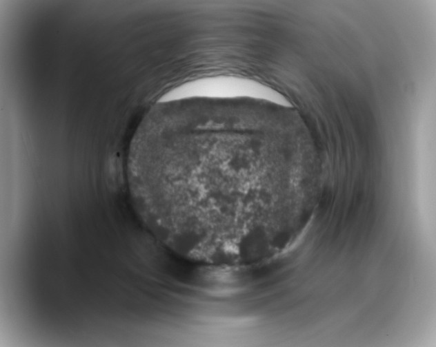 X0000089750182200707201929