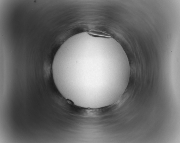 X0000089750188200707201929