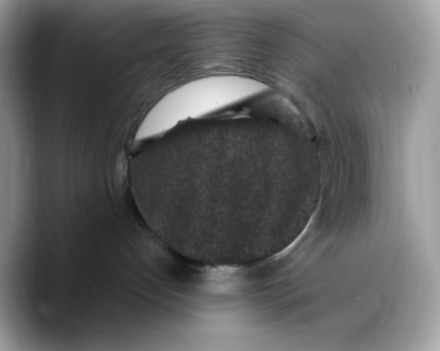 X0000089750192200707201930