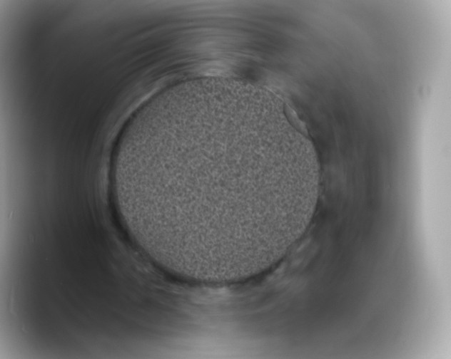 X0000089750194200707201929