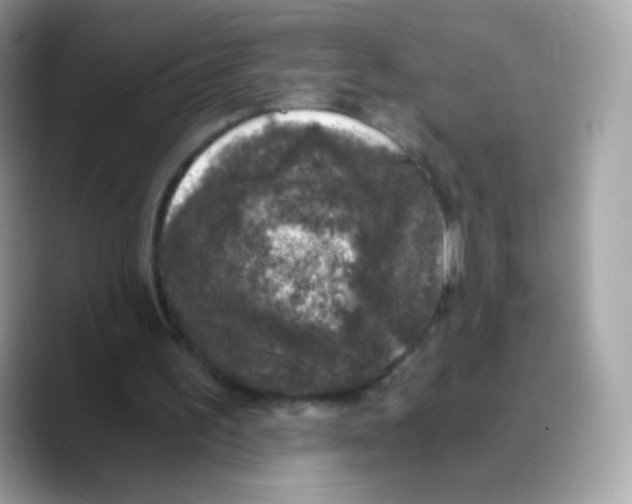 X0000089750195200707201929