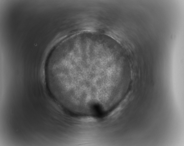 X0000089750198200707201929