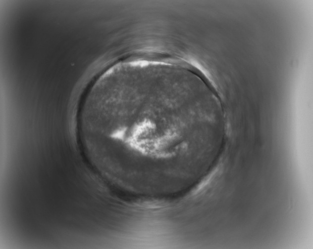 X0000089750199200707201929