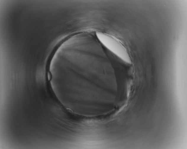 X0000089750200200707201929