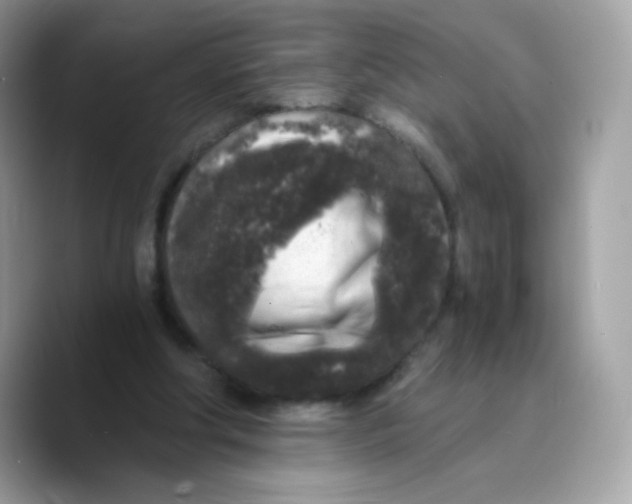 X0000089750202200707201929