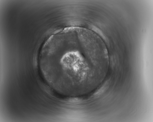 X0000089750203200707201929