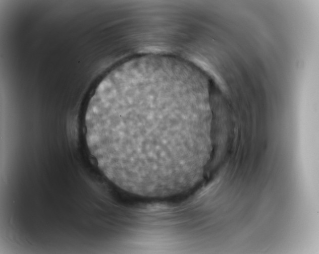 X0000089750204200707201929