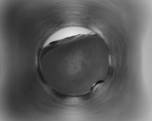 X0000089750205200707201929