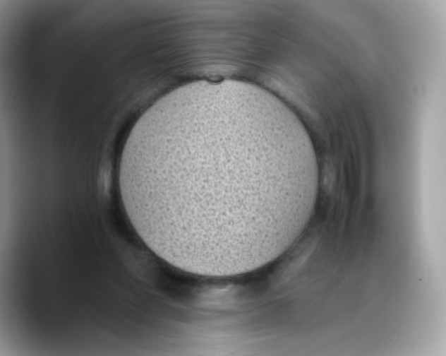 X0000089750206200707201929