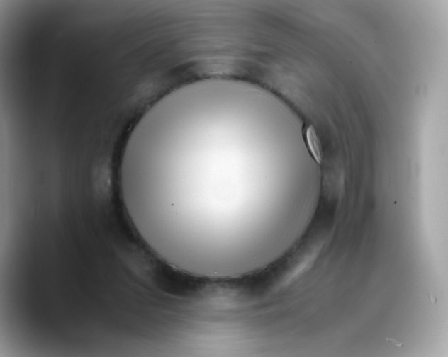 X0000089750207200707201929