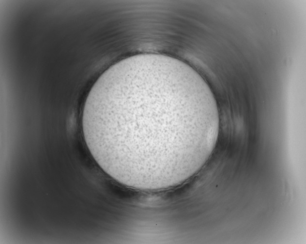 X0000089750208200707201929