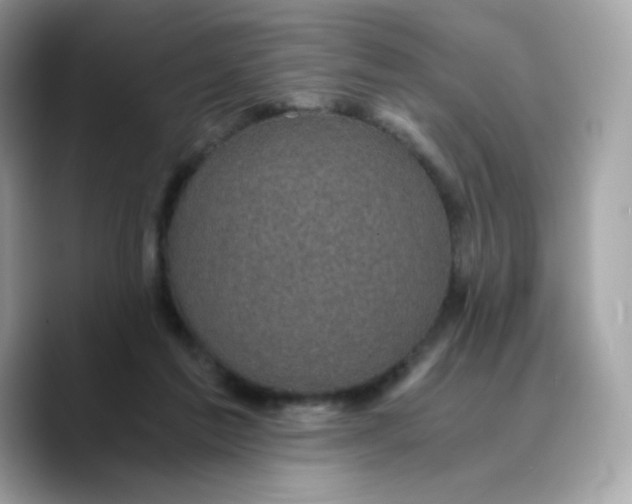 X0000089750213200707201929