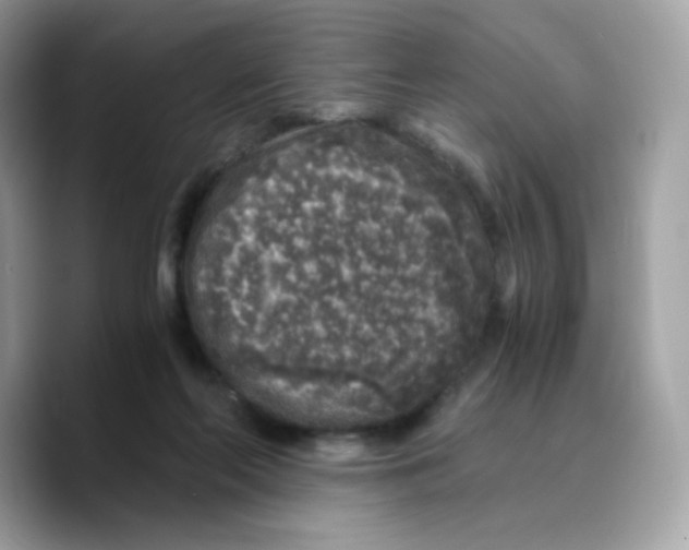 X0000089750214200707201929