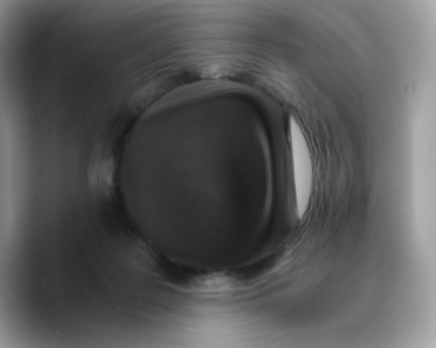 X0000089750219200707201929