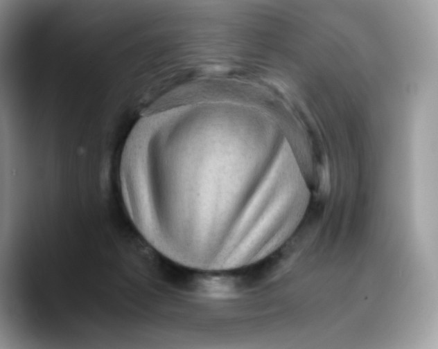 X0000089750221200707201928