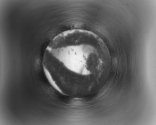 X0000089750222200707201928