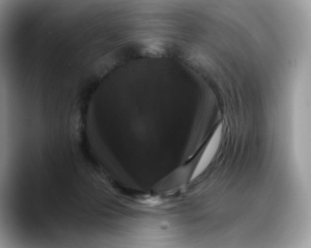 X0000089750223200707201928