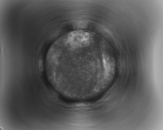 X0000089750224200707201928