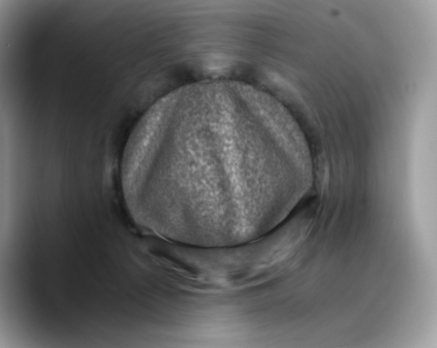 X0000089750225200707201928