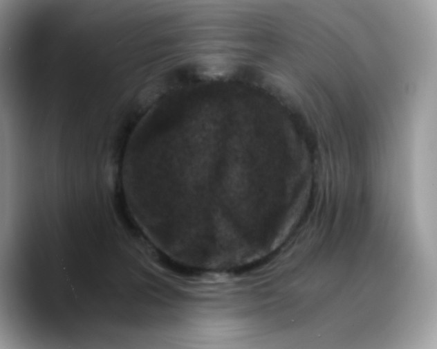 X0000089750227200707201928