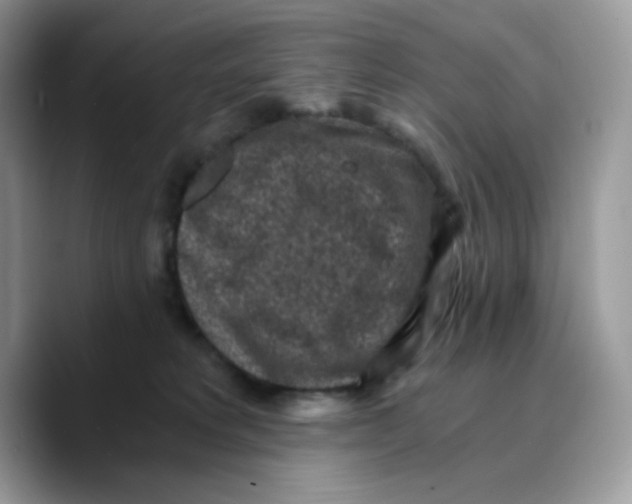 X0000089750229200707201928