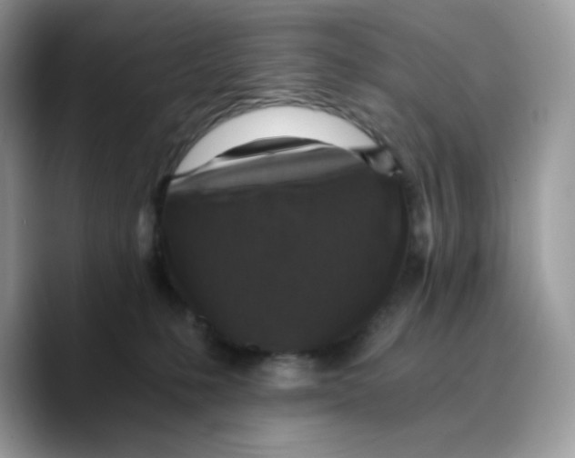 X0000089750231200707201928