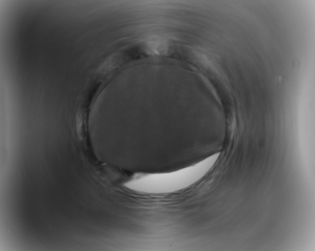 X0000089750233200707201928