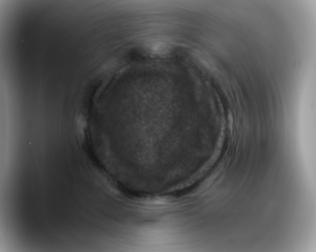 X0000089750235200707201928