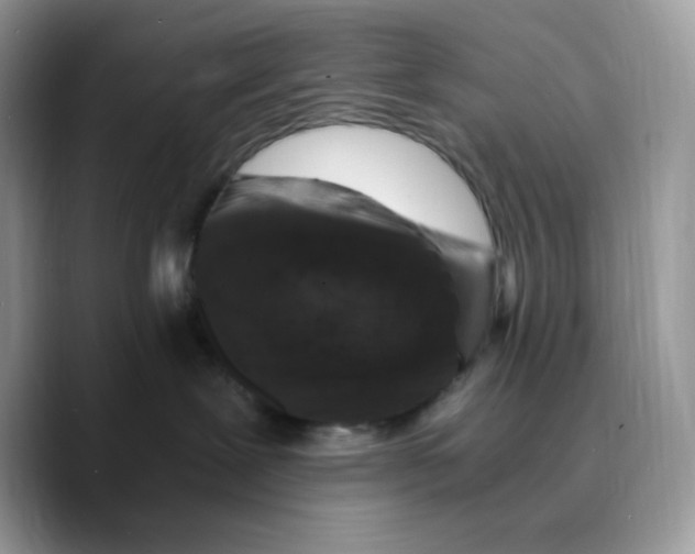 X0000089750239200707201928