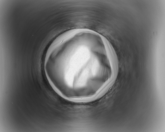 X0000089750242200707201928